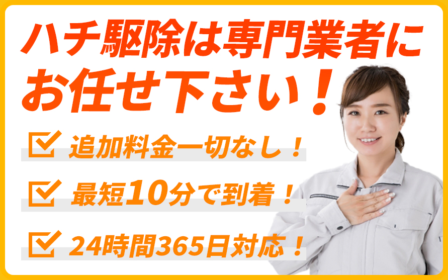 ハチ駆除は専門業者にお任せ下さい！