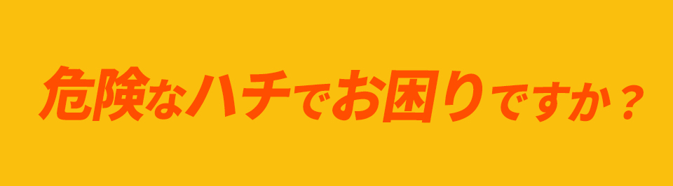 危険なハチでお困りですか？