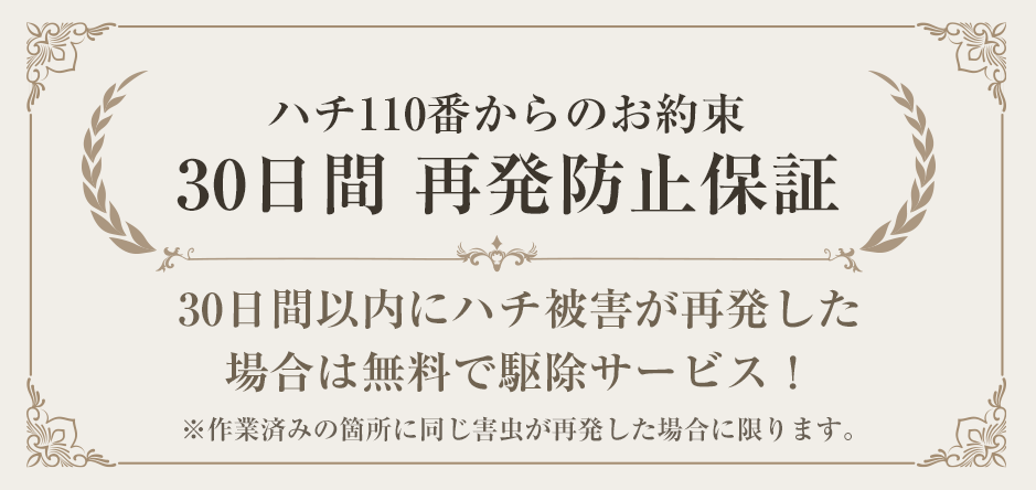 ハチ駆除からのお約束30日間再発防止保証