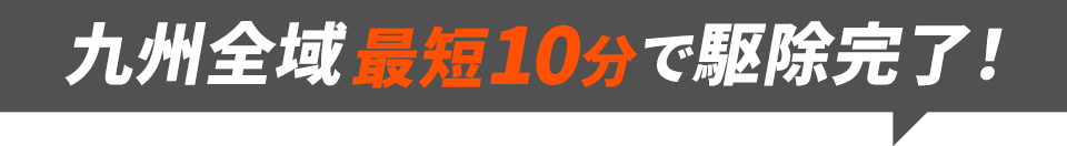 九州全域は最短10分で駆除完了！
