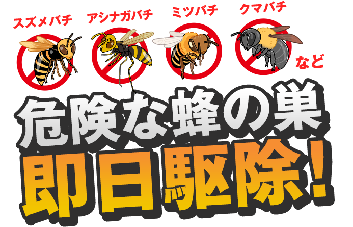危険な蜂の巣即日駆除！