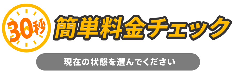 30秒簡単料金チェック　現在の状態を選んでください
